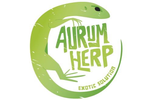 Aurum Herp